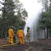 Training in Taos Pines Ranch at an owner's property